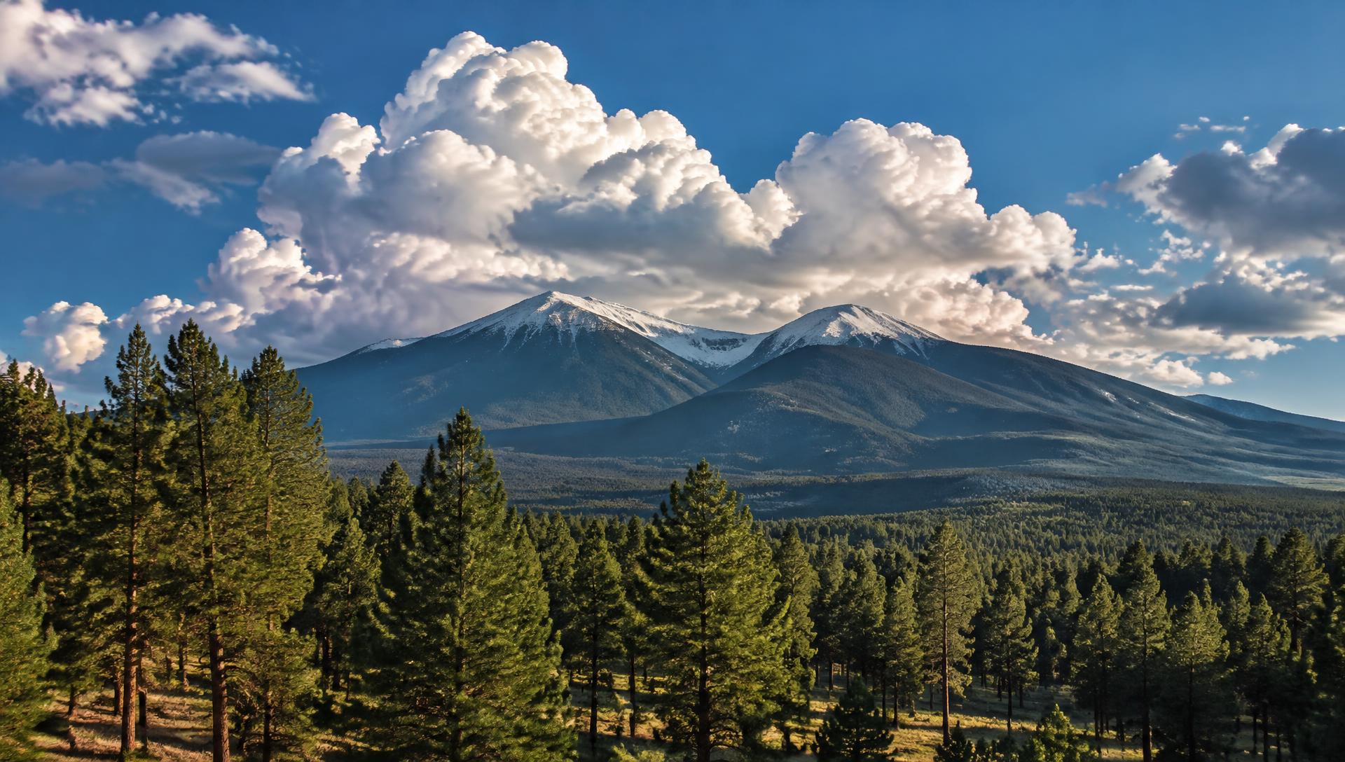 Ponderosa pine forest and the San Francisco Peaks above Flagstaff, Arizona